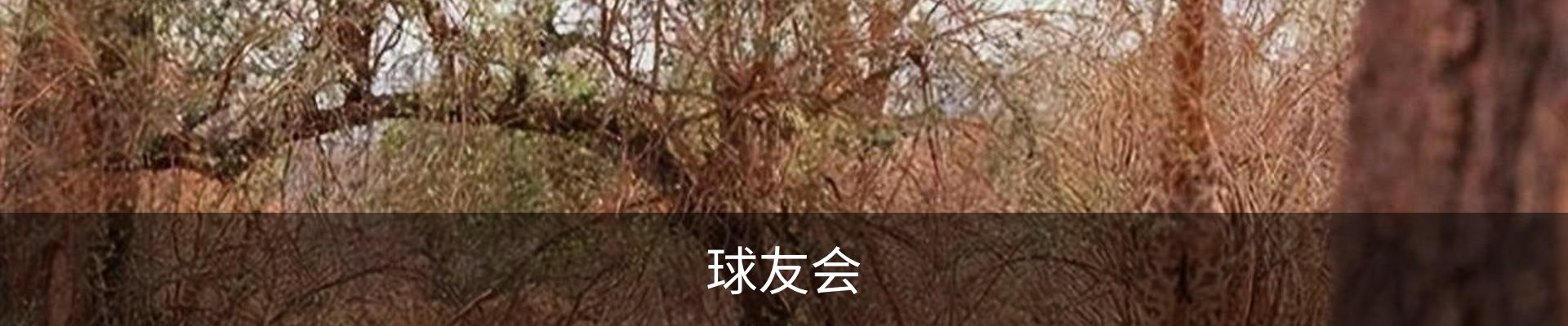 球友会· (中国)官方网站